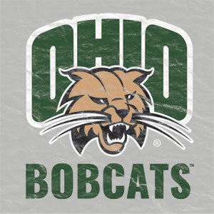 Ohio University Ohio University Bobcats Xbox 360 (Includes HDD) Skin